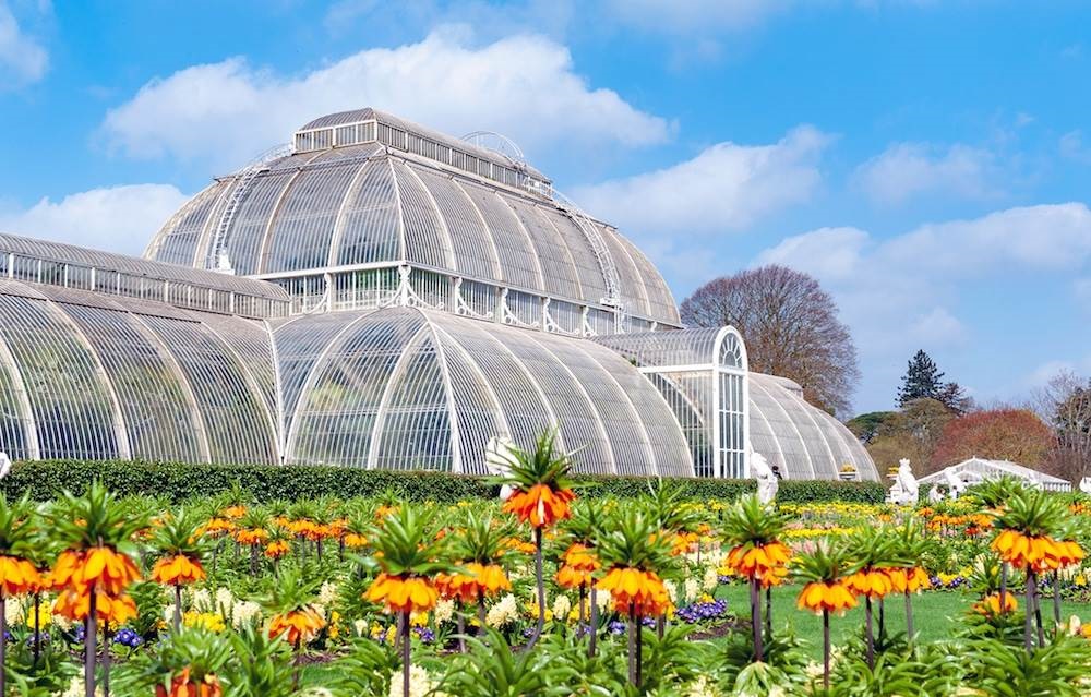 Kew Gardens London - 30 Top-Rated Tourist Attractions and Things to Do in London - Planet Travel Advisor