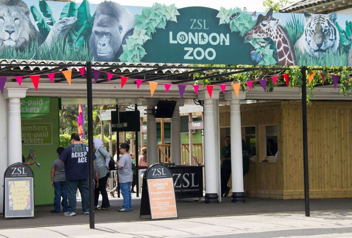 London Zoo - 30 Top-Rated Tourist Attractions and Things to Do in London - Planet Travel Advisor