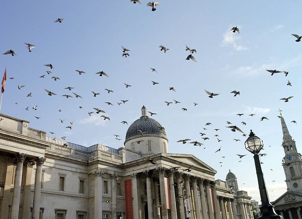 The National Gallery - 30 Top-Rated Tourist Attractions and Things to Do in London - Planet Travel Advisor The National Gallery - 30 Top-Rated Tourist Attractions and Things to Do in London - Planet Travel Advisor