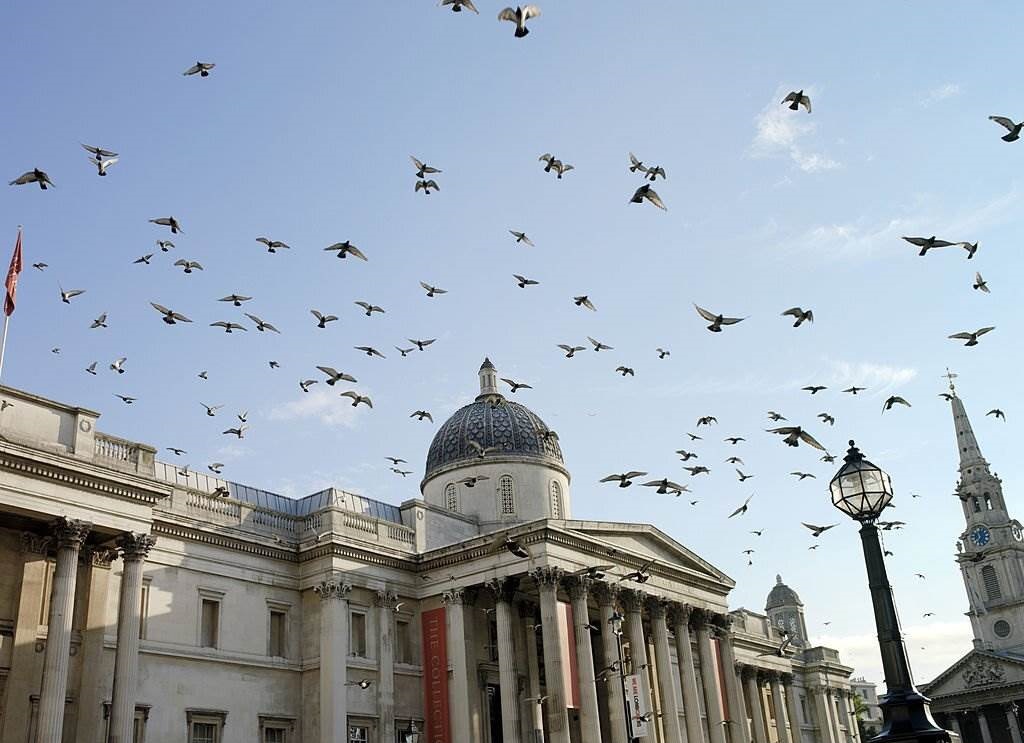 The National Gallery - 30 Top-Rated Tourist Attractions and Things to Do in London - Planet Travel Advisor