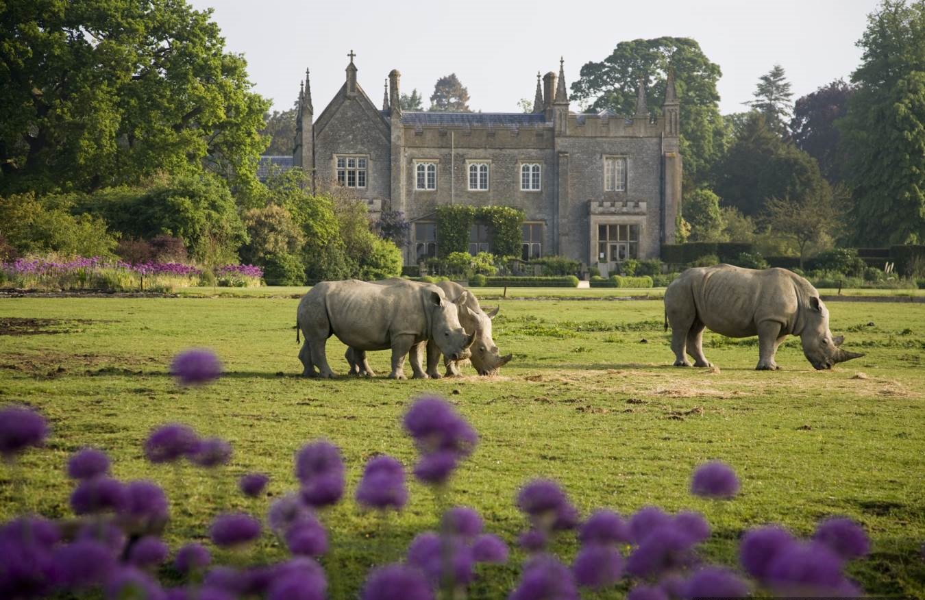Great Wildlife - Reasons to Visit England - Planet Travel Advisor Great Wildlife - Reasons to Visit England - Planet Travel Advisor