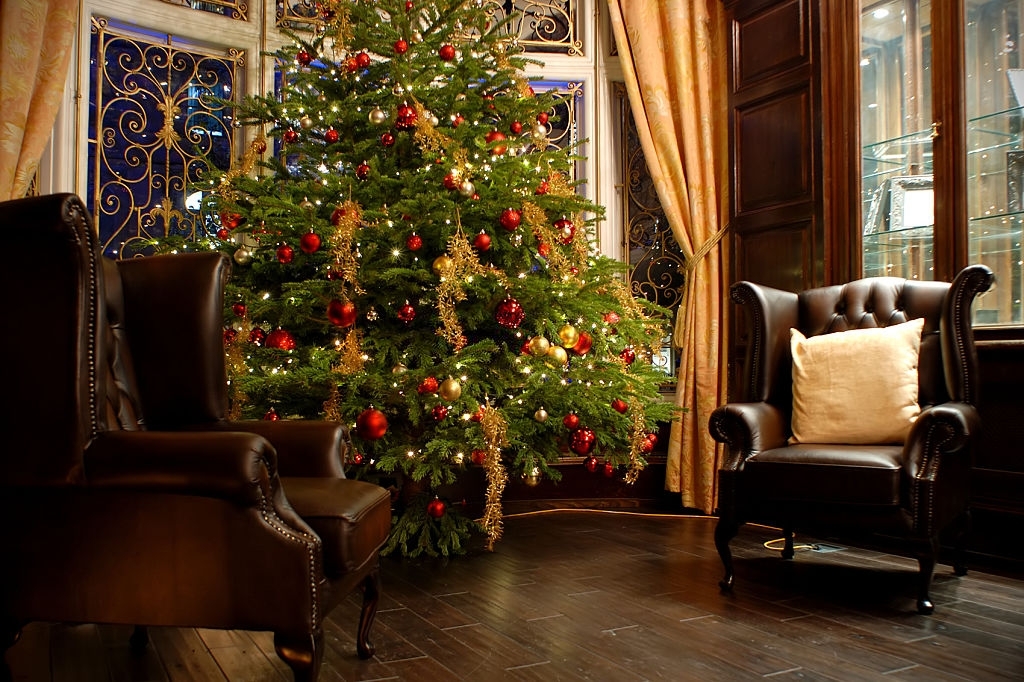 Christmas Tree - Christmas Traditions in England - Planet Travel Advisor - planettraveladvisor.com Christmas Tree - Christmas Traditions in England - Planet Travel Advisor - planettraveladvisor.com