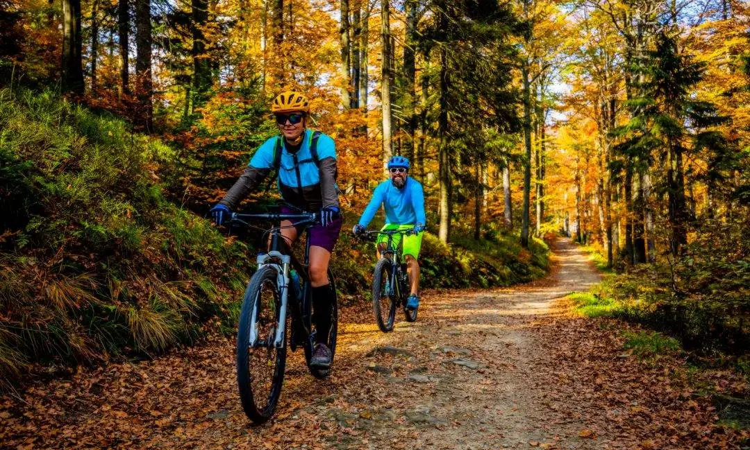 Outdoor Activity - Best Cruises Tours & Itineraries in England - Planet Travel Advisor Outdoor Activity - Best Cruises Tours & Itineraries in England - Planet Travel Advisor