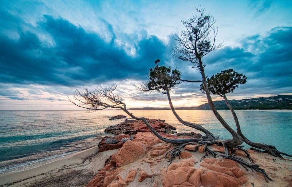 Palombaggia Beach in France - Best Beaches in Europe - Planet Travel Advisor Palombaggia Beach in France - Best Beaches in Europe - Planet Travel Advisor