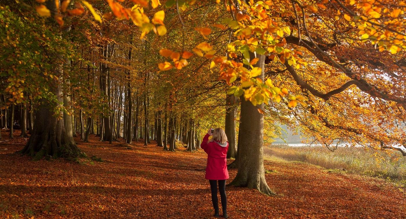 Weather in England During Autumn - Planet Travel Advisor Weather in England During Autumn - Planet Travel Advisor