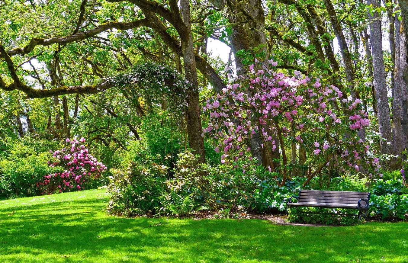 Hendricks Park Eugene Oregon - Tourist Attractions in Eugene, Oregon - Planet Travel Advisor