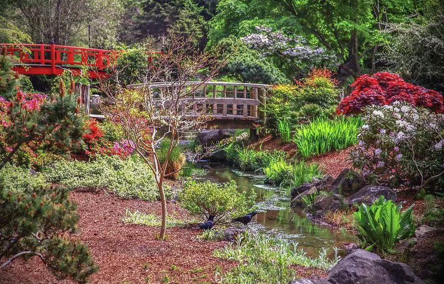 Mingus Park, Coos Bay, OR-Optimized - Top-Rated Places and Things to Do in Coos Bay, Oregon - Planet Travel Advisor Mingus Park, Coos Bay, OR-Optimized - Top-Rated Places and Things to Do in Coos Bay, Oregon - Planet Travel Advisor