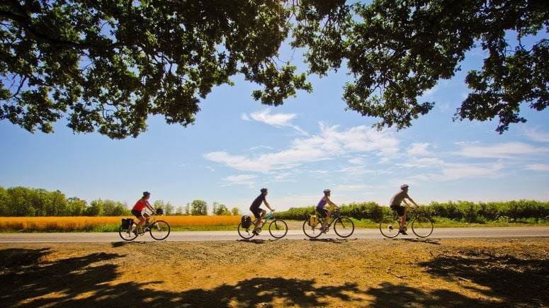 Head Out on the River Valley Scenic Bikeway - Top-Rated Things to Do in Albany, Oregon - Planet Travel Advisor