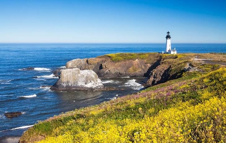 Tour to the Ocean in Albany Oregon - Top-Rated Things to Do in Albany, Oregon - Planet Travel Advisor