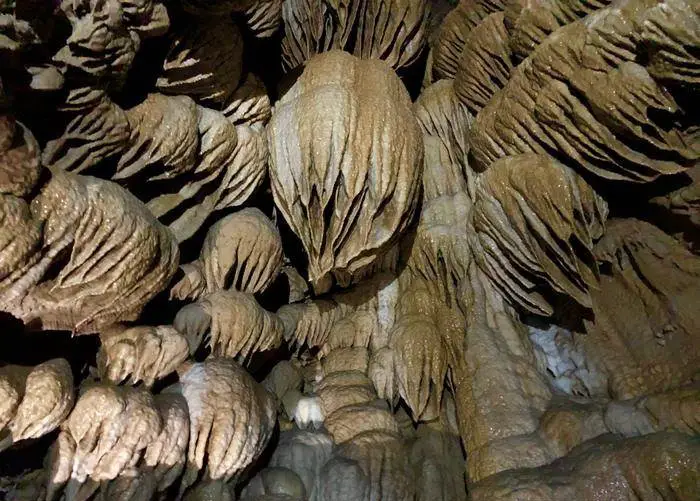 Oregon Caves Memorial & Preserve - 12 Top-Rated Attractions and Things to Do in Medford Oregon - Planet Travel Advisor Oregon Caves Memorial & Preserve - 12 Top-Rated Attractions and Things to Do in Medford Oregon - Planet Travel Advisor