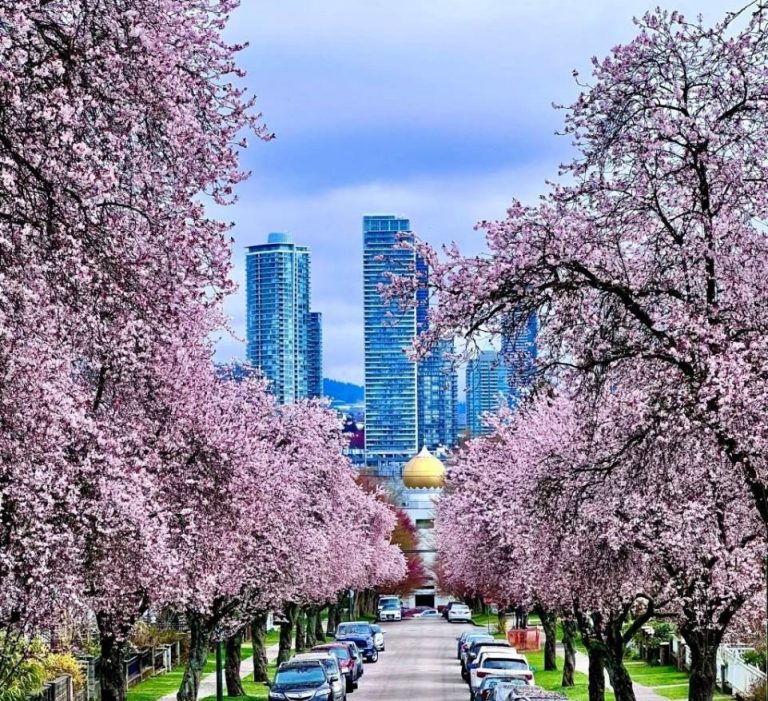 Best time to visit Canada 2023/2024 Travel Advisor