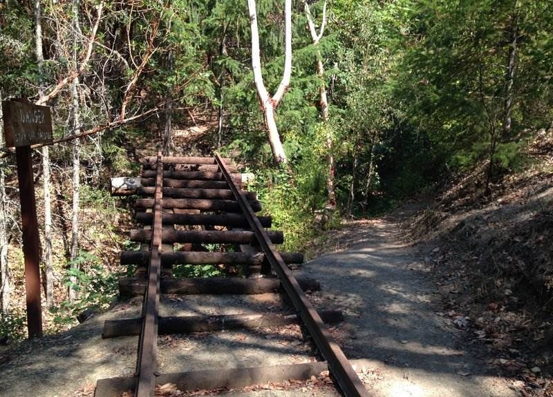 Forest Park on Foot in Jacksonville OR - 12 Top-Rated Things to Do in Jacksonville Oregon - Planet Travel Advisor