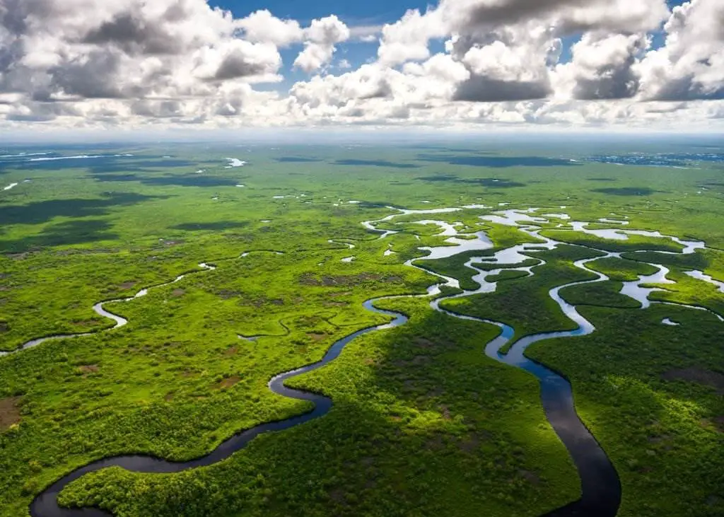 Aerial view of Everglades National Park in Florida, USA - Natural Attractions in USA - Planet Travel Advisor