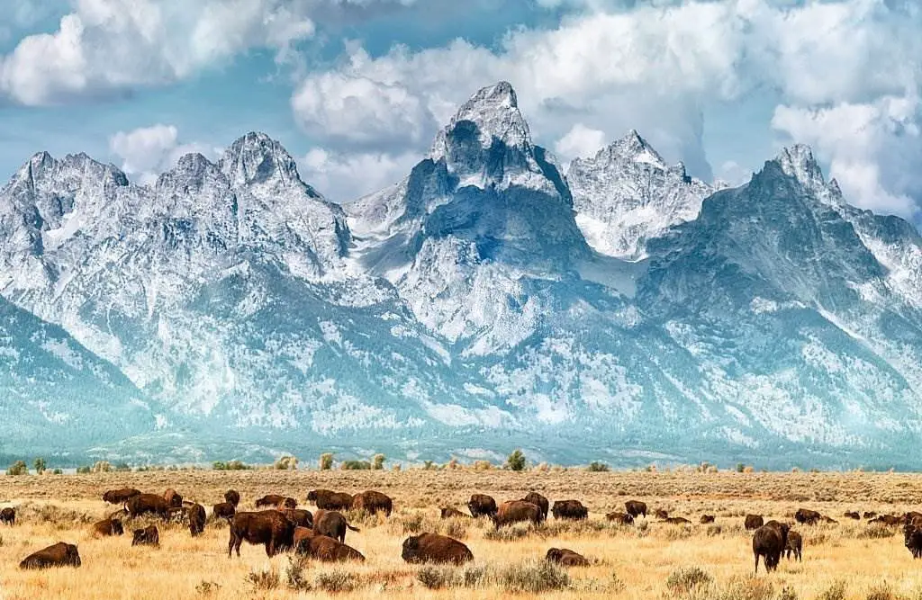 The Grand Teton - National Park - Natural Attractions in USA - Planet Travel Advisor