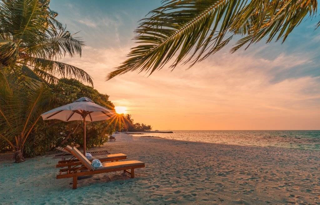 Best Things to Do in Hawaii in February - Beautiful tropical sunset scenery, two sun beds, loungers, umbrella under palm tree - Planet Travel Advisor
