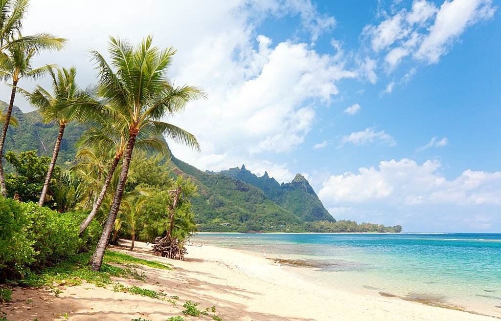 Best Things to Do in Hawaii in January - Beautiful Tunnels Beach vacation destination with palm trees and blue sky in Haena, Kauai, Hawaii - Planet Travel Advisor