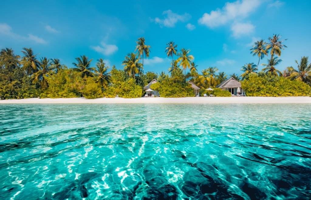 Recommendation to Visit Hawaii in February or Not - Perfect beach view in Hawaii Summer holiday and vacation design - Planet Travel Advisor