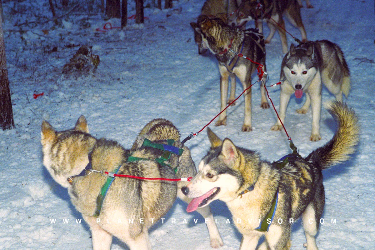 Rovaniemi - Things to Do in Finland - Planet Travel Advisor Rovaniemi - Things to Do in Finland - Planet Travel Advisor
