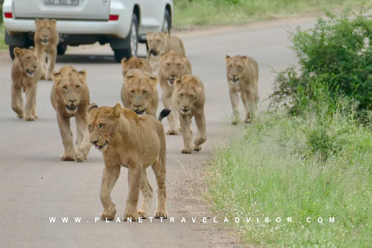 South Africa - Countries to Travel for Solo Travelers - Planet Travel Advisor