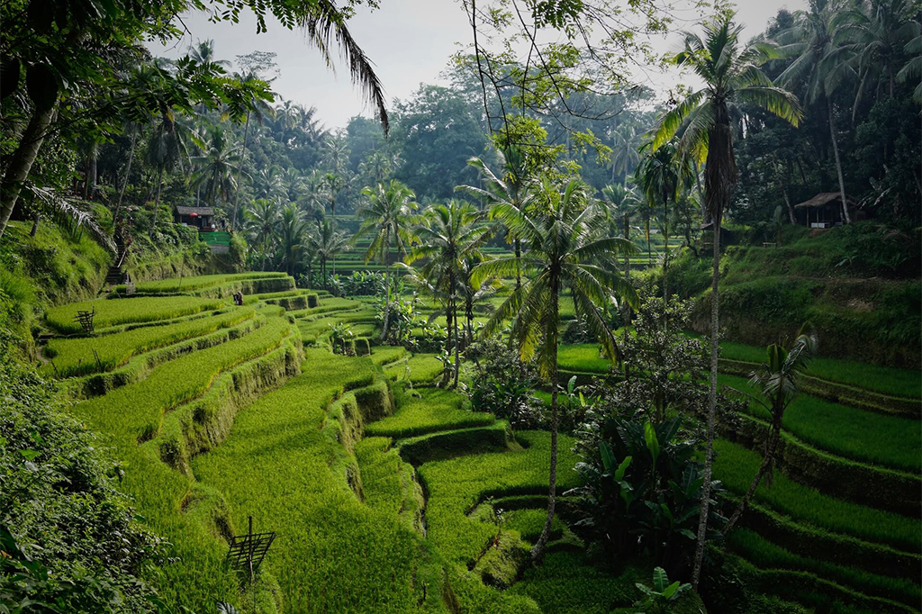 Best Time to Avoid Crowds in Bali - Best Time to Visit Bali