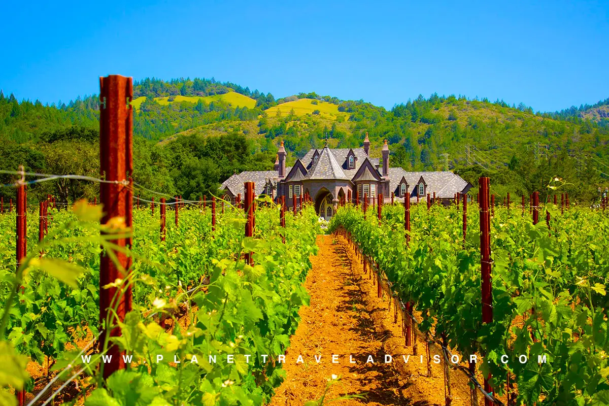 California's Wine - Autumn Destinations in the USA - Planet Travel Advisor