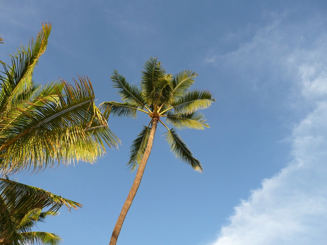 Hawaii's weather-Hawaii Weather in October