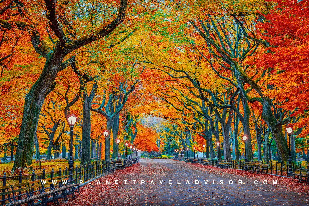 New York City Autumn - Autumn Destinations in the USA - Planet Travel Advisor