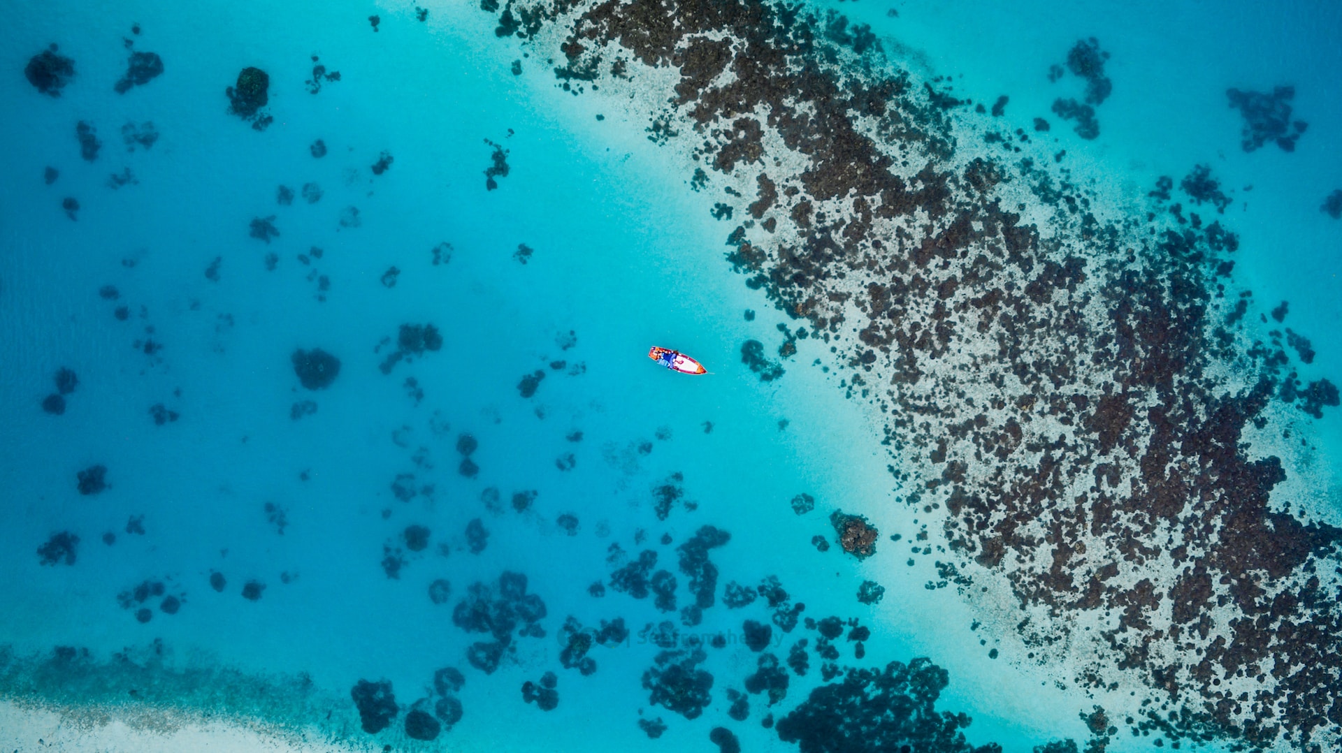 Sky View of Maldives - Best Time to Visit Maldives