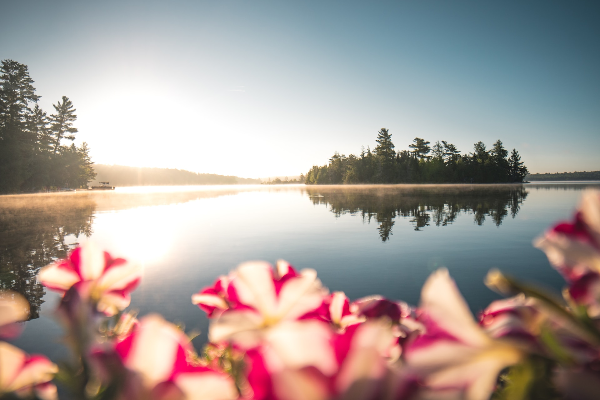 Spring Time in Ontario - Best Time to Visit Ontario Canada Spring Time in Ontario - Best Time to Visit Ontario Canada