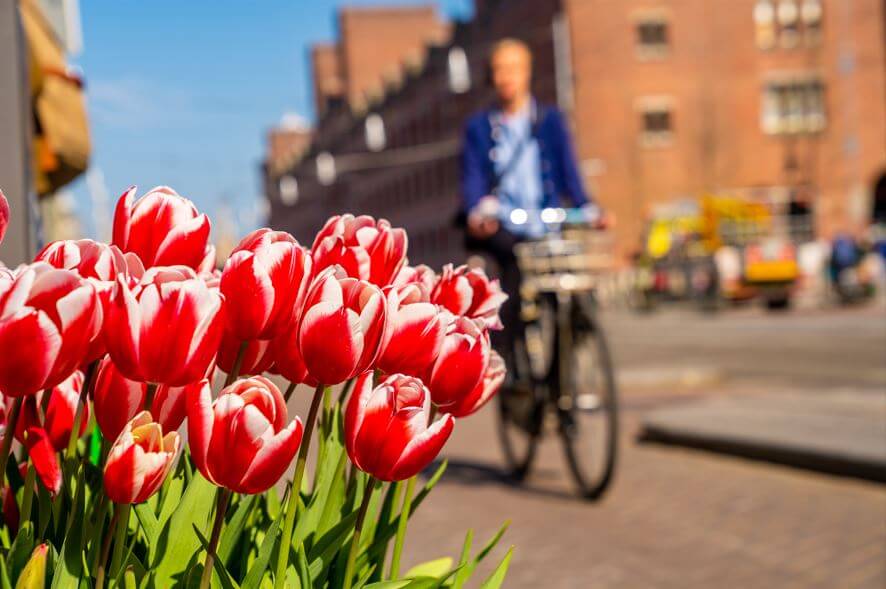 Amsterdam, Netherlands - Best Places to Visit in Europe in Summer - Planet Travel Advisor