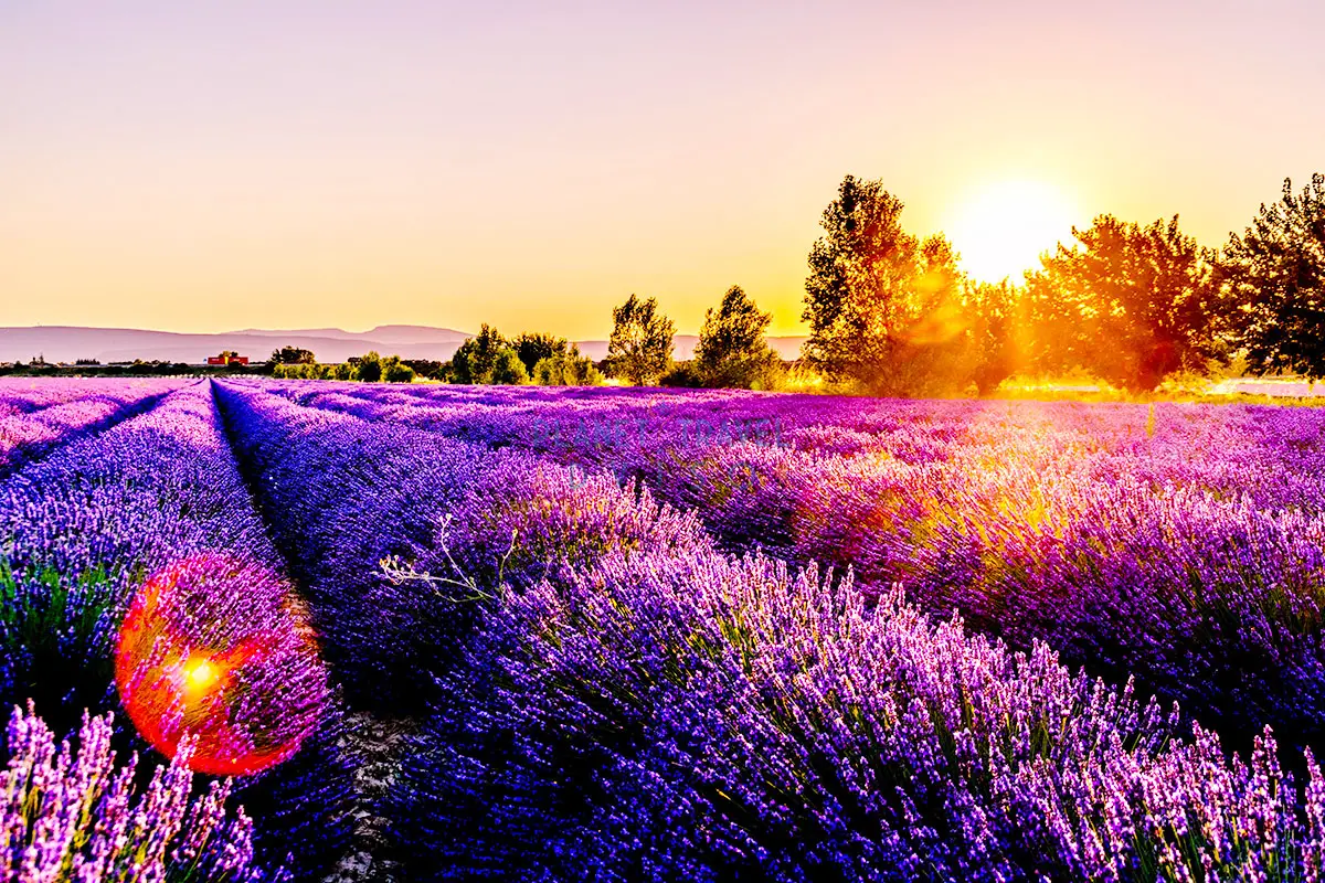 Provence - Best Places to Visit in France - Planet Travel Advisor Provence - Best Places to Visit in France - Planet Travel Advisor