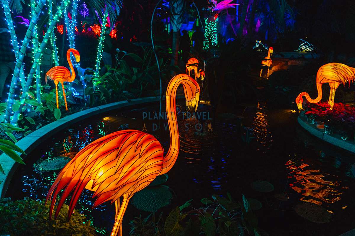 Bancroft Street, Omaha - Planet Travel Advisor Bancroft Street, Omaha - Planet Travel Advisor