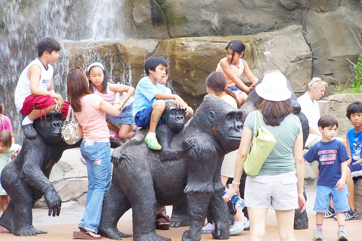 Omaha's Henry Doorly Zoo - Things to Do in Omaha for Kids - Planet Travel Advisor Omaha's Henry Doorly Zoo - Things to Do in Omaha for Kids - Planet Travel Advisor