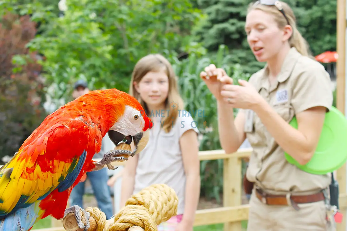 Omaha Zoo (1) - Planet Travel Advisor Omaha Zoo (1) - Planet Travel Advisor