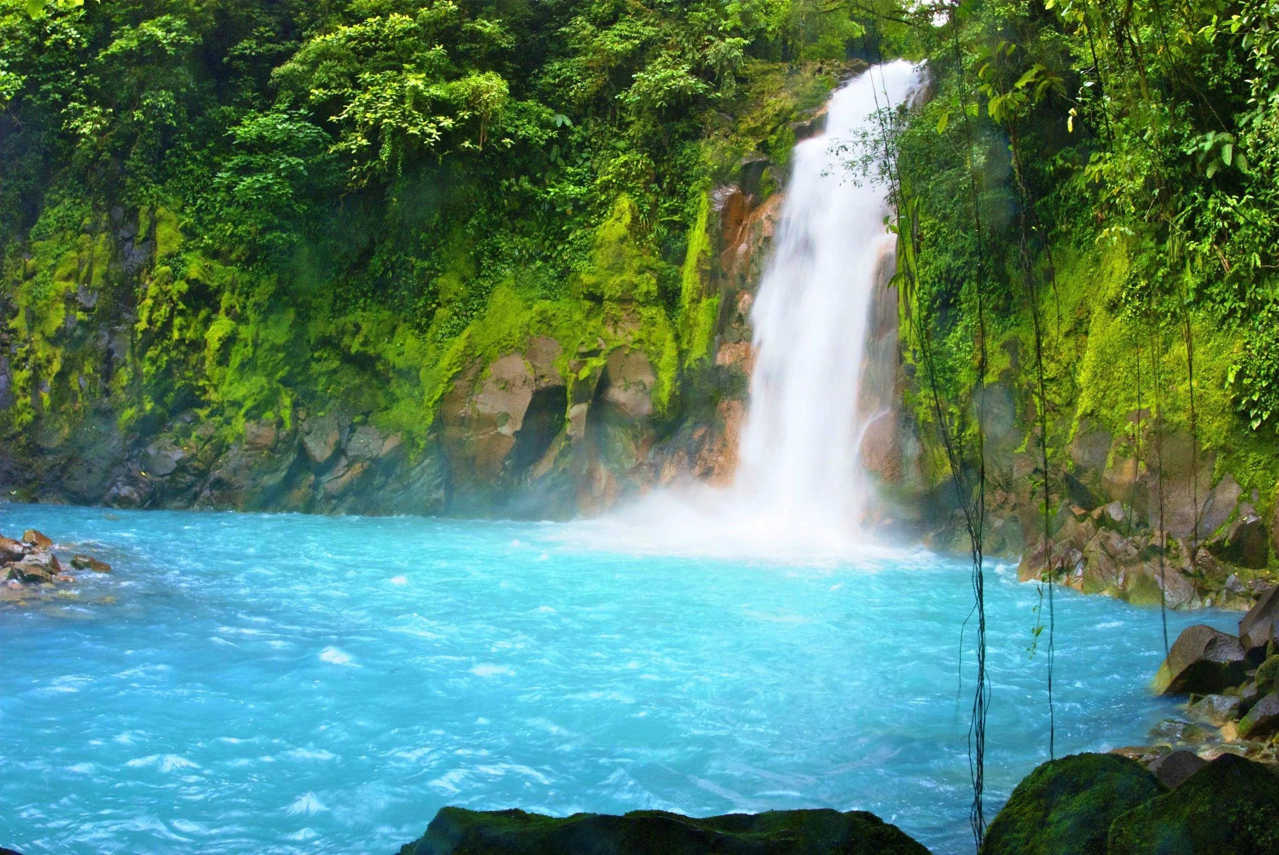 Costa Rica - Where to Travel in January - Planet Travel Advisor