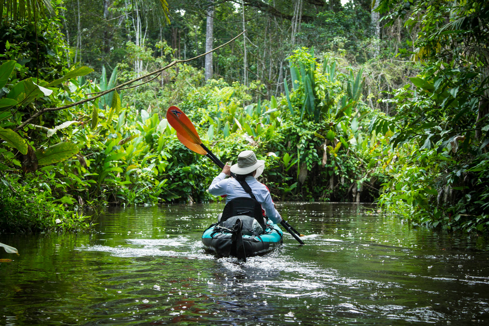 Explore the Amazon rainforest - Brazil Carnival - Planet Travel Advisor