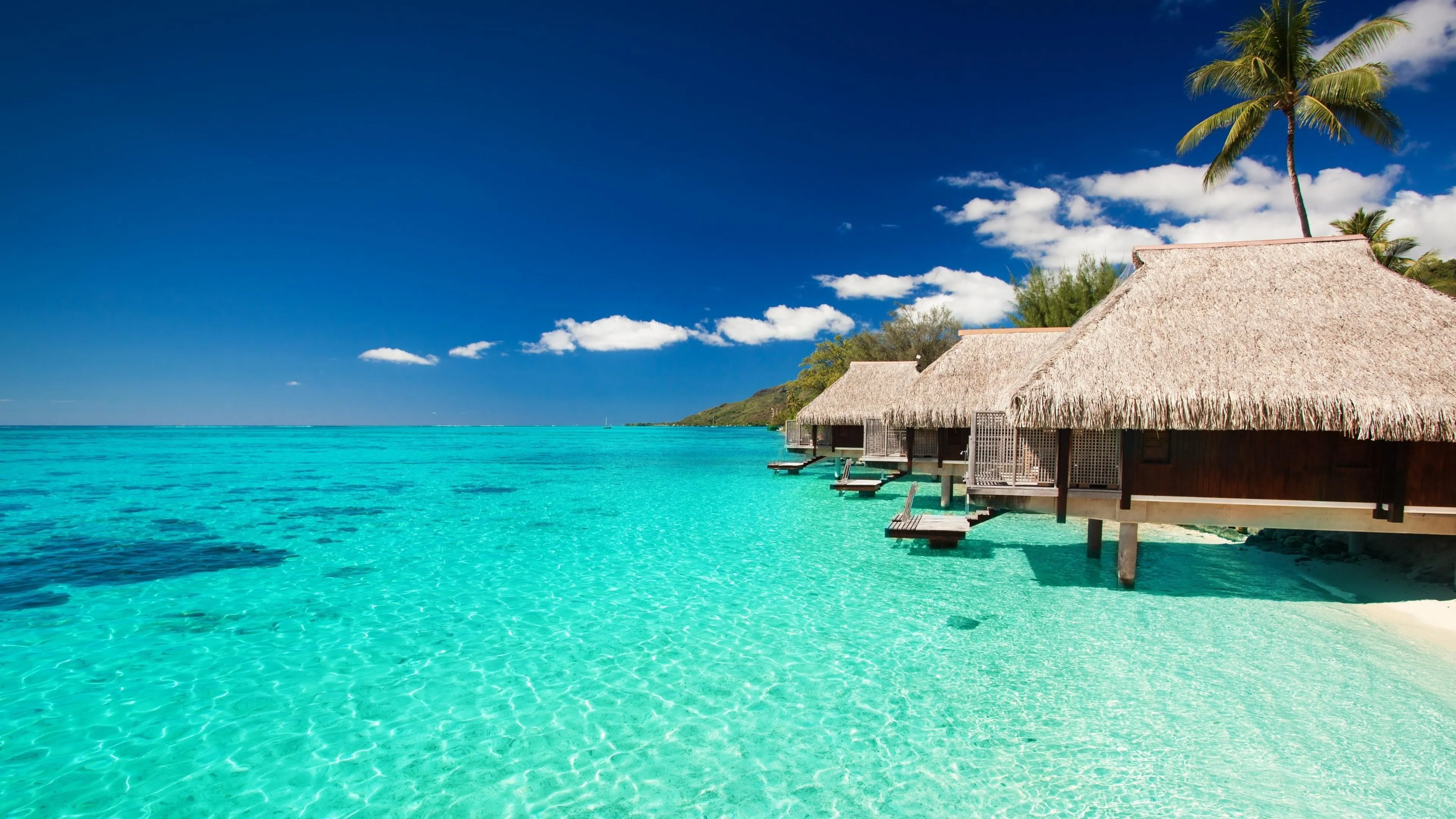 A Natural View of Maldives - Where to Travel in January - Planet Travel Advisor
