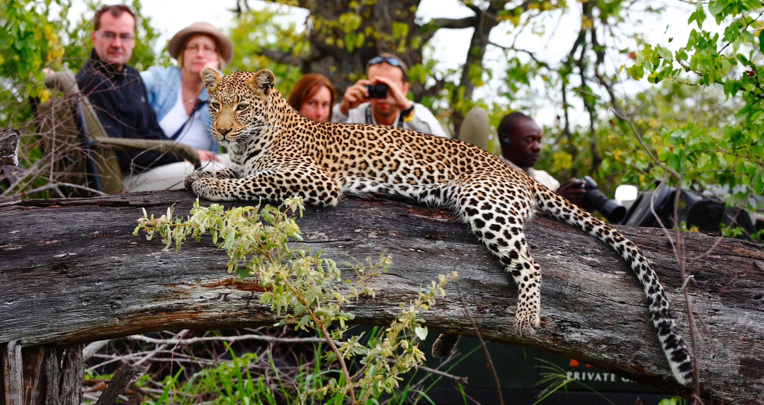 South Africa - Where to Travel in December - Planet Travel Advisor
