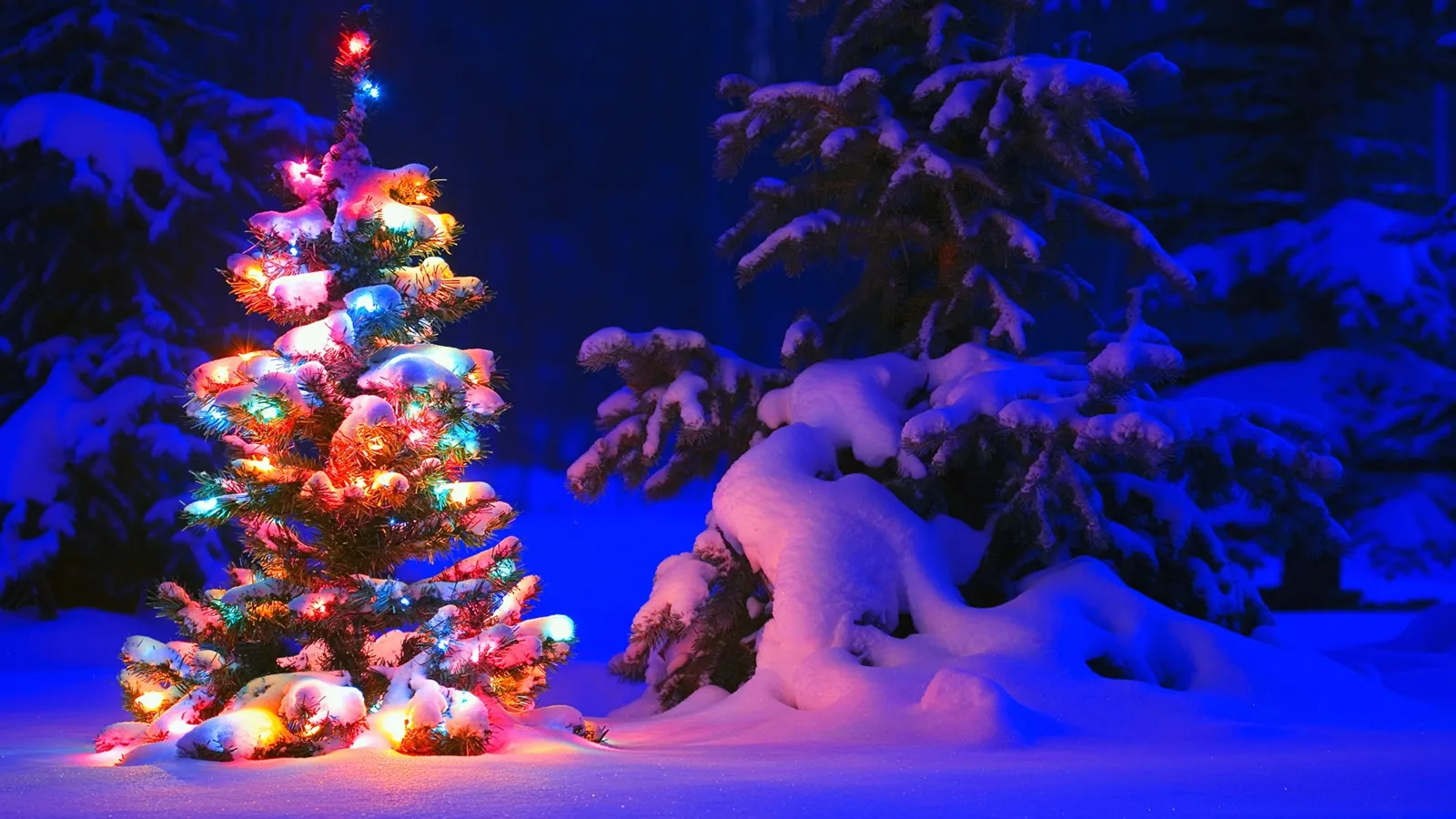 Travel in December - An Overview - Where to Travel in December - Planet Travel Advisor