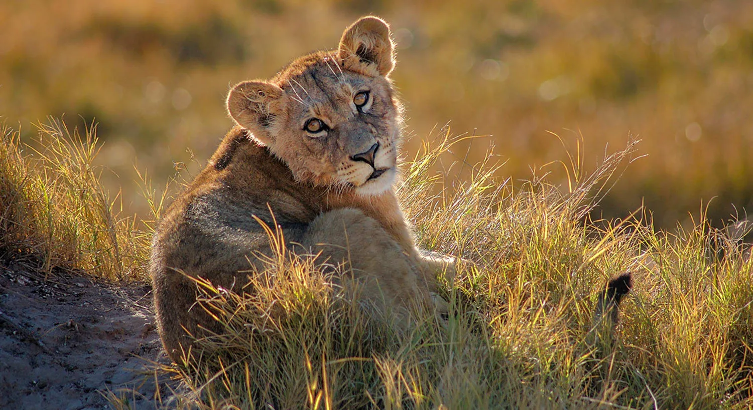 Africa - Where to Travel in September - Planet Travel Advisor
