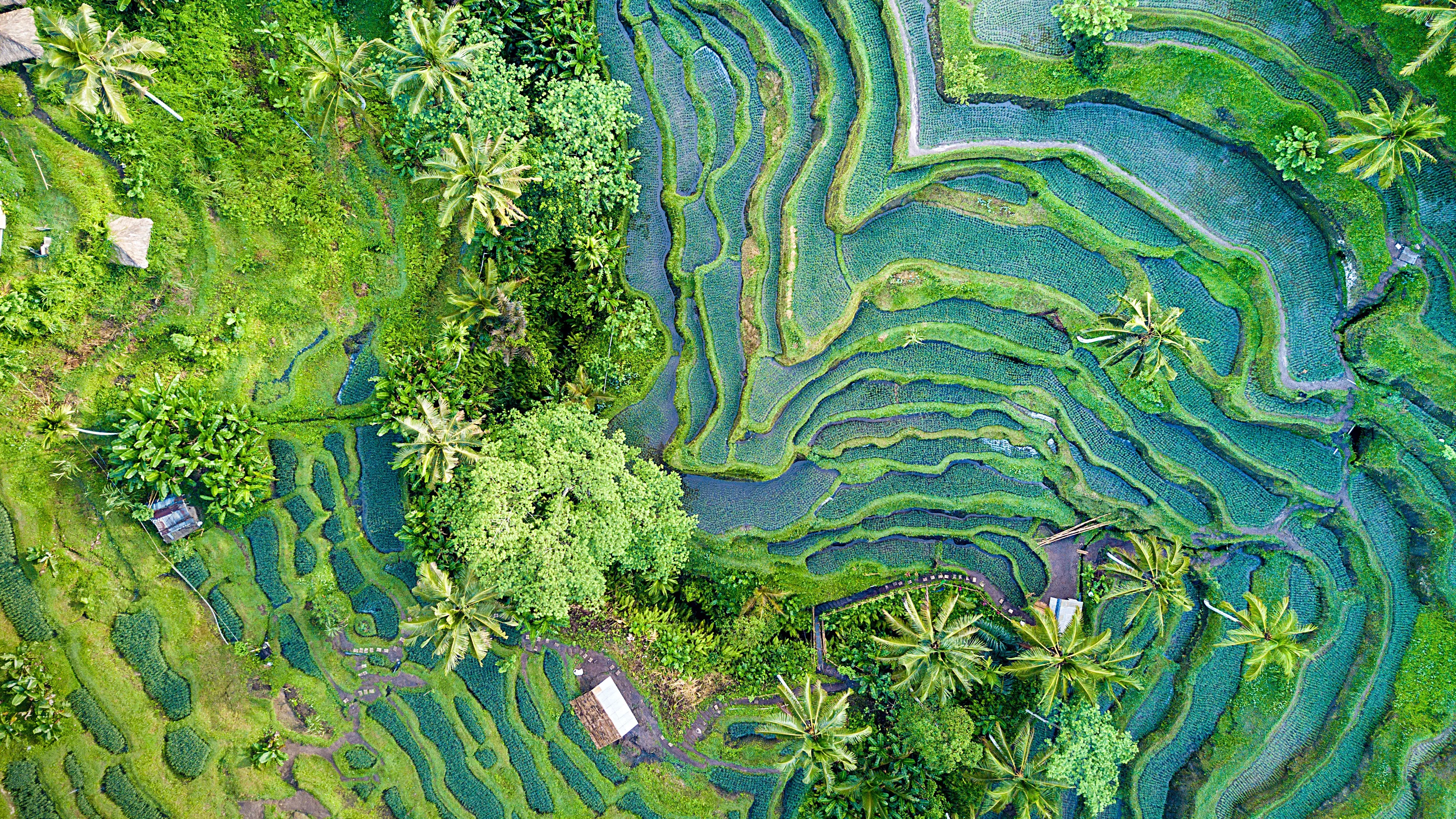 Biodiversity Barclays - Where to Travel in June - Planet Travel Advisor