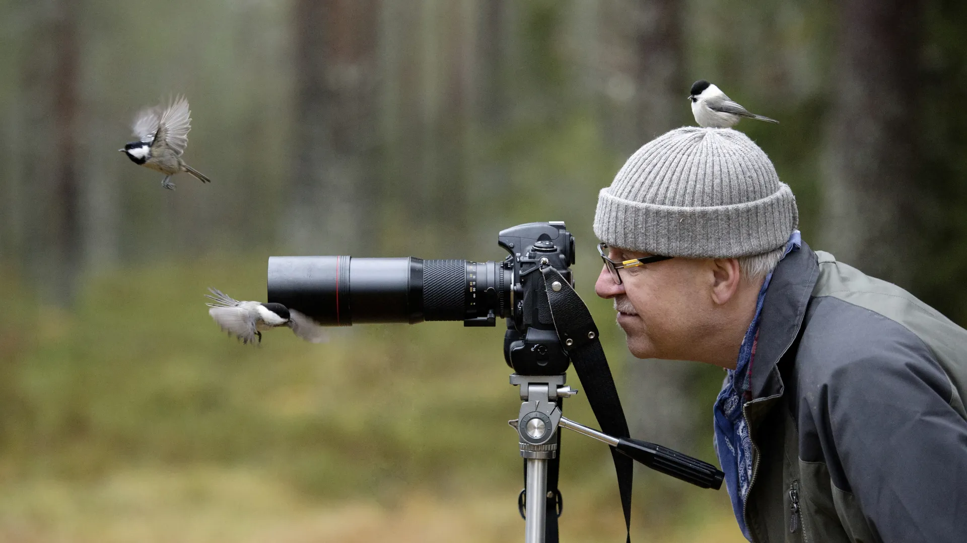 Bird Watching - Where to Travel in July - Planet Travel Advisor