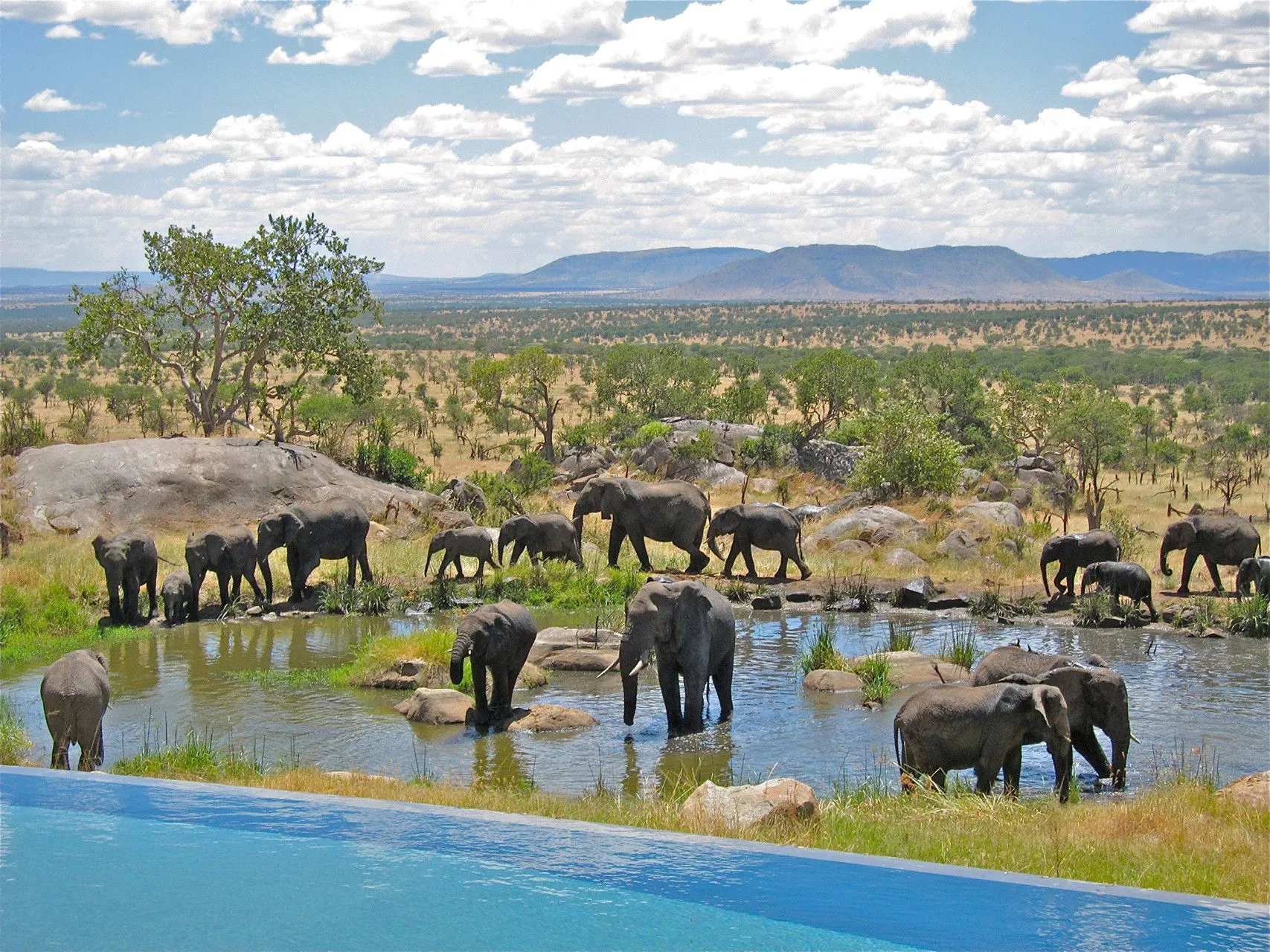 Four Seasons Serengeti View - Where to Travel in June - Planet Travel Advisor