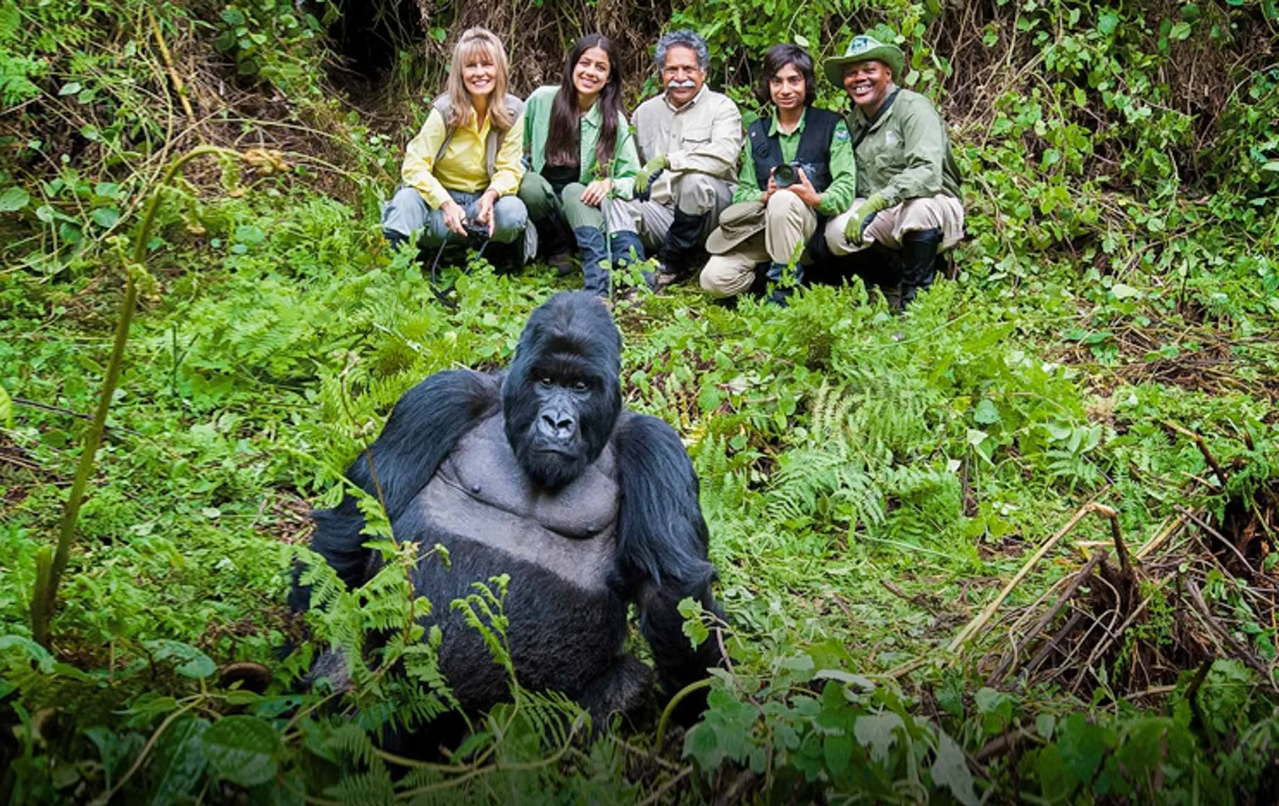gorilla trekking - Where to Travel in June - Planet Travel Advisor