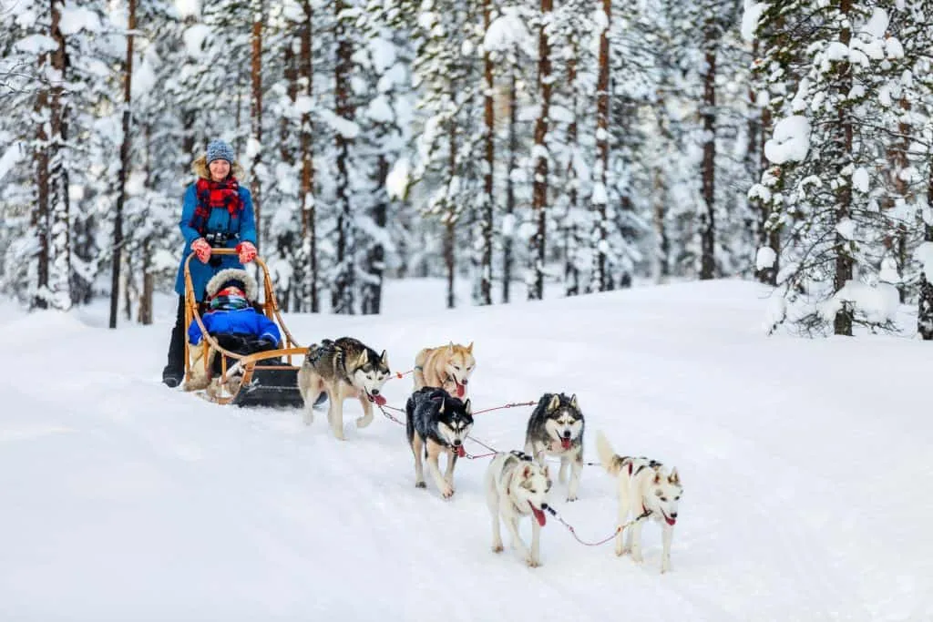 Lapland Husky - Where to Travel in April - Planet Travel Advisor