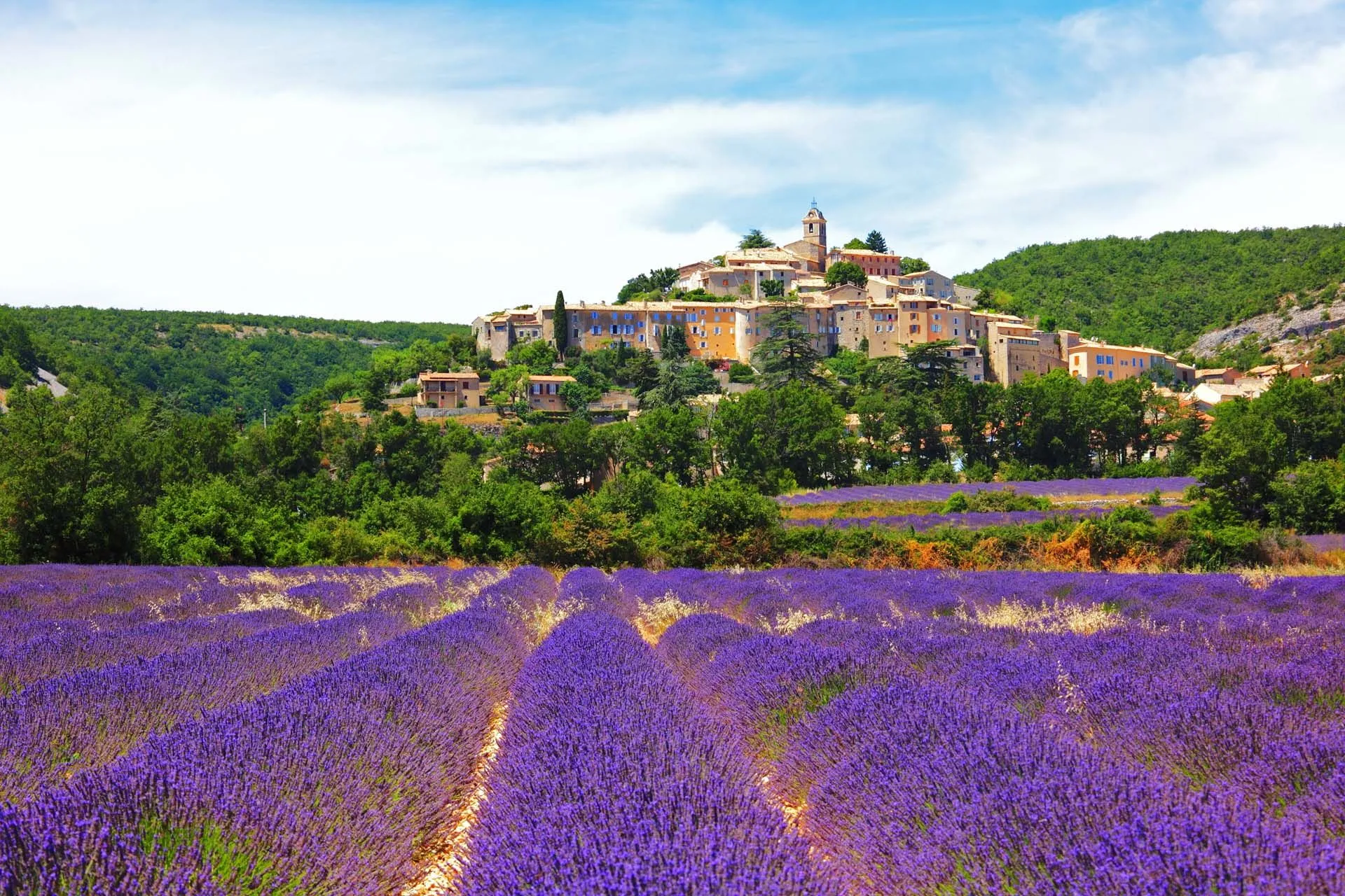 Lavender Festival in Provence, France - Where to Travel in July - Planet Travel Advisor