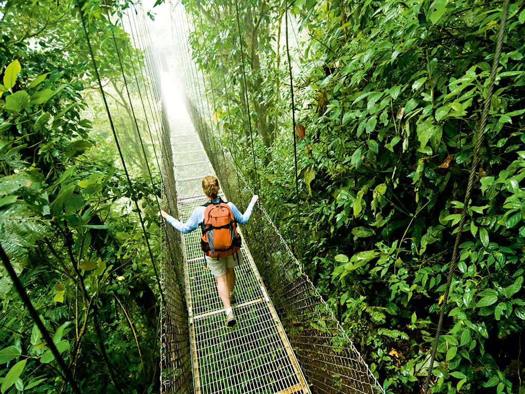 Mistico Hanging Bridges Walk - Where to Travel in August - Planet Travel Advisor