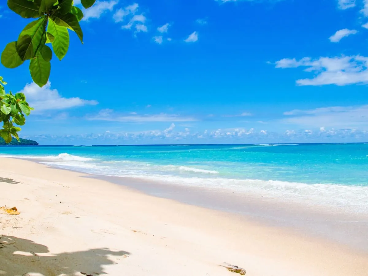 Plage Caraïbe -Where to Travel in July - Planet Travel Advisor
