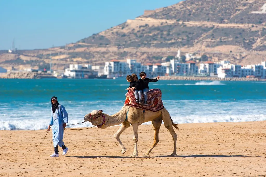 Plage d'Essaouira - Morocco Weather - Planet Travel Advisor