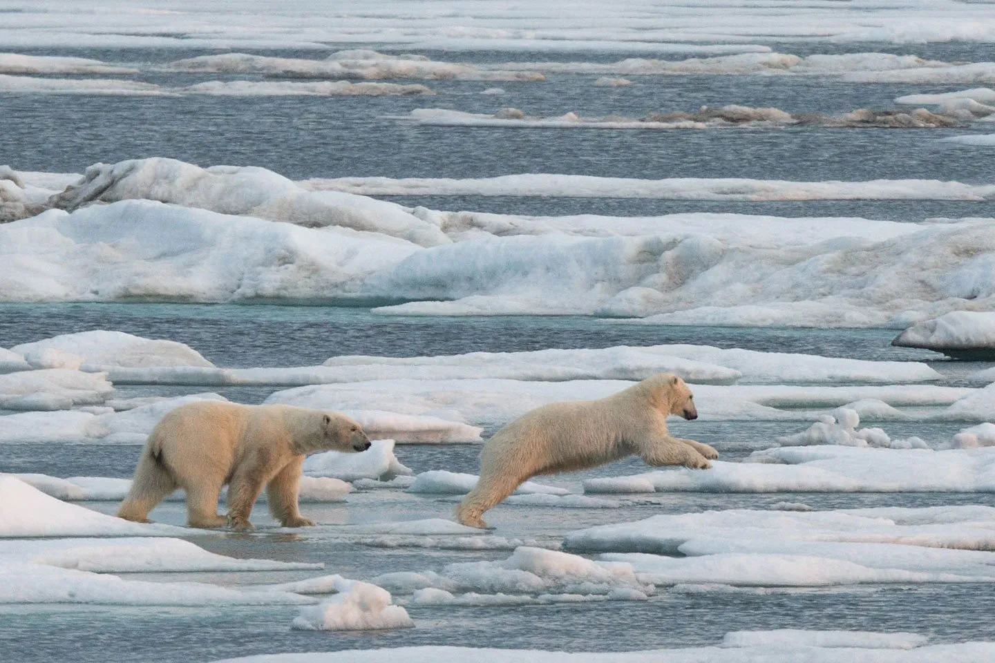 Polar Travel - Where to Travel in September - Planet Travel Advisor